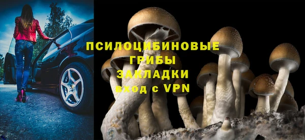 ешки Володарск