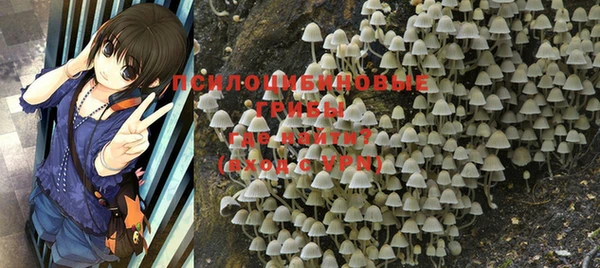 ешки Володарск