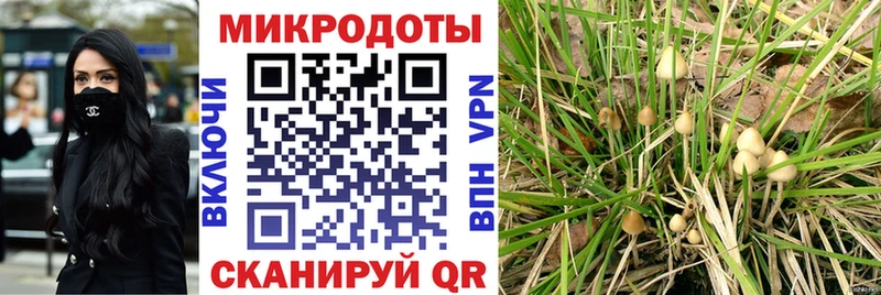 что такое   блэк спрут рабочий сайт  Галлюциногенные грибы Cubensis  Искитим 